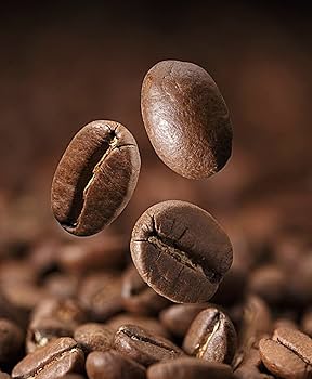 Contact our office in UAE for the best coffee beans